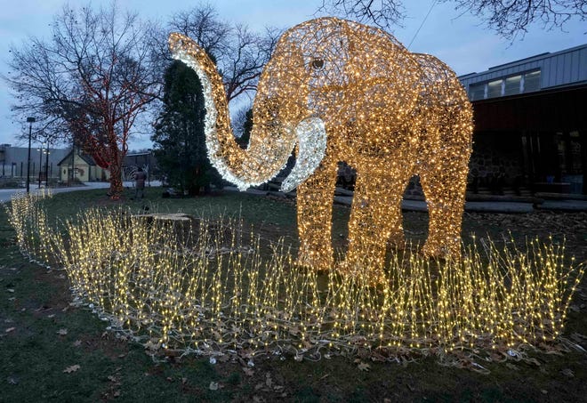 Light displays of safari animals are some of the things that visitors can expect to see when visiting the Tuesday, Dec. 5, 2023, at the Milwaukee County Zoo. Ebony Cox / Milwaukee Journal Sentinel