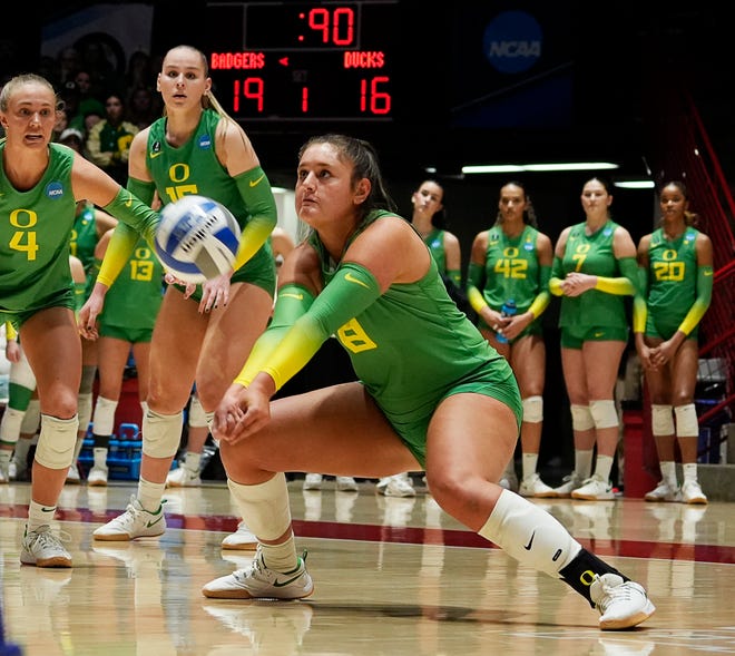 Oregon outside hitter Gabby Gonzales (8) prepares to hit the serve during the first set of the NCAA Regional Volleyball Finals match against Wisconsin on Saturday December 9, 2023 at the UW Field House in Madison, Wis.